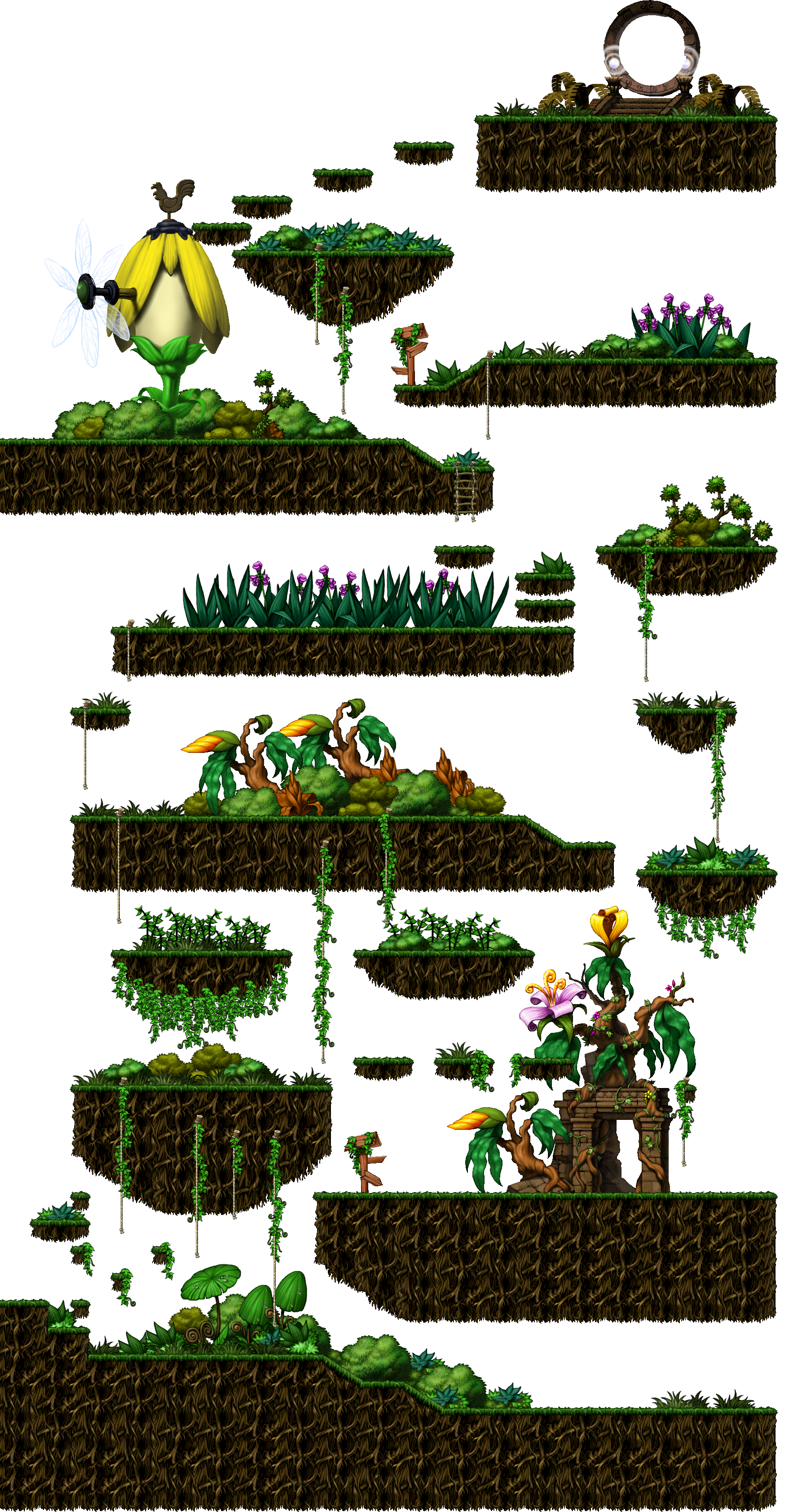 Swampy Land in a Deep Forest