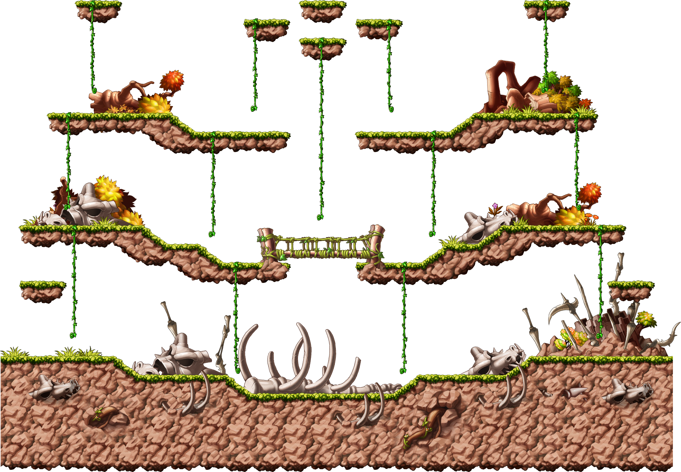 The Forest That Disappeared